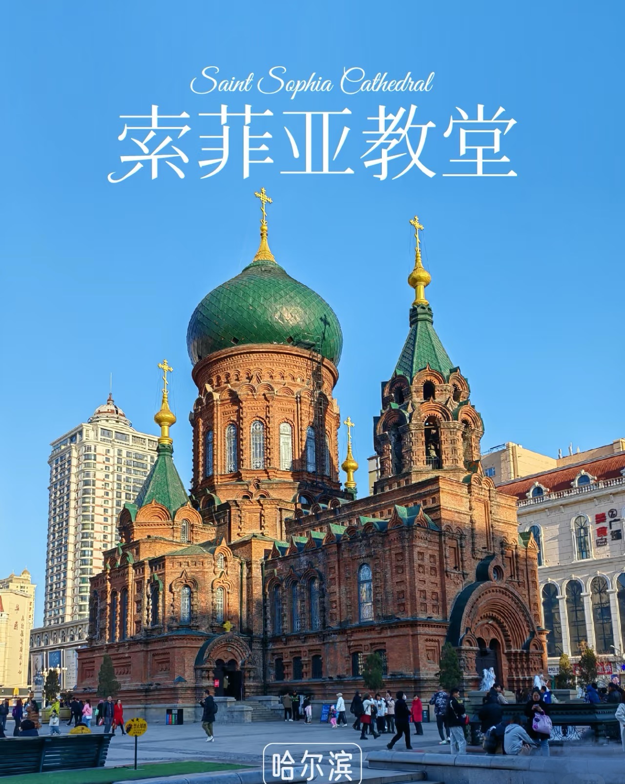 25051317110679115.jpg