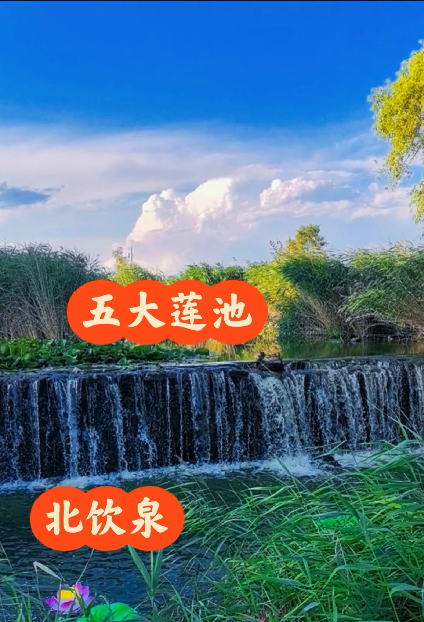 25060914450904319.jpg
