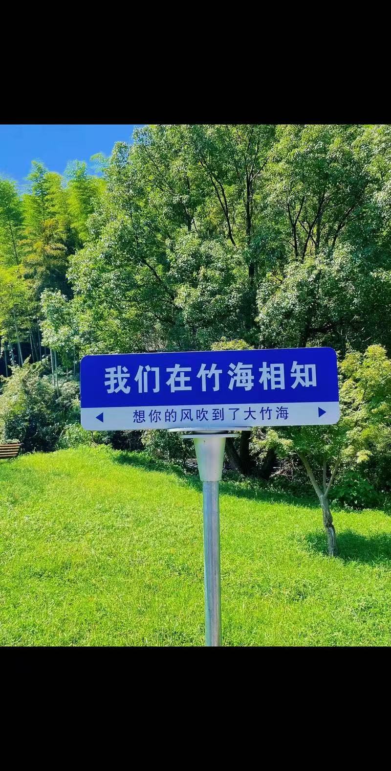25051215540436130.jpg