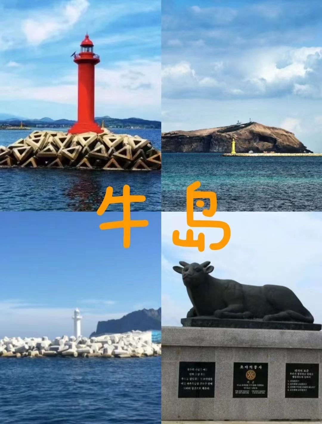26061011305984363.jpg
