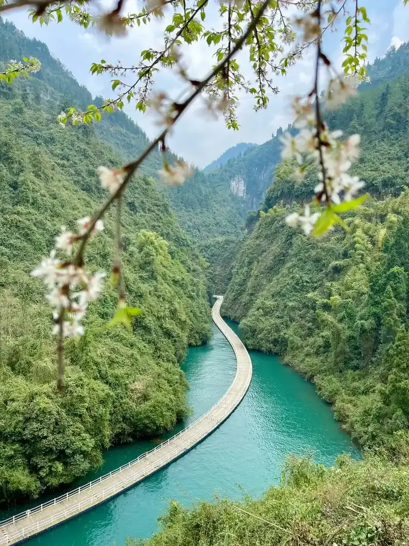 26042410002294955.png